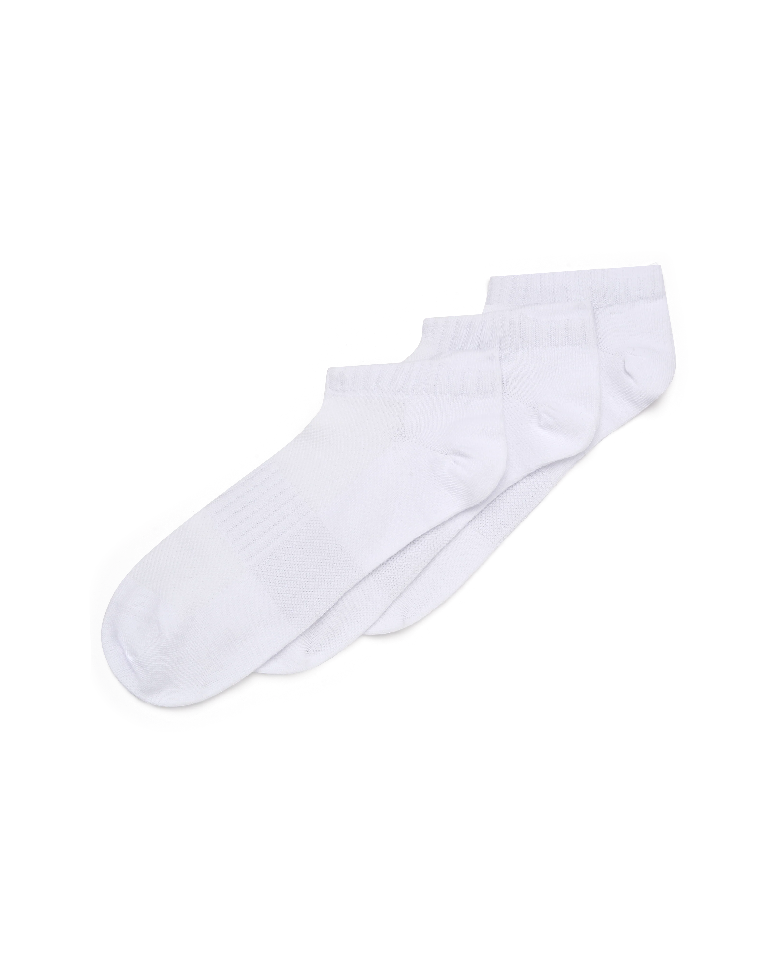 תמונה ממוזערת 2